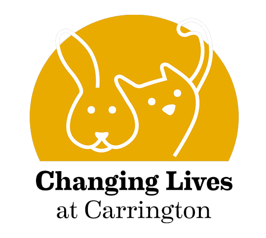 ChangingLivesCarringtonBlk